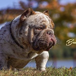 Meet your Posher, Pat